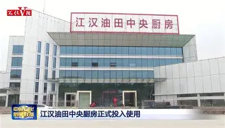 江汉山猫队爆冷关东雄鲨队，游泳常规赛上演耐力碾压对手！防线高度稳定的简单介绍