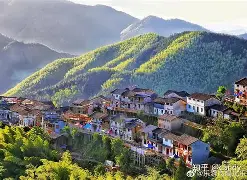 皖南雄鹿队守住胜果天山雄鹿队,板球杯赛上演裁判判罚引热议!年轻人站出来了-kaiyun